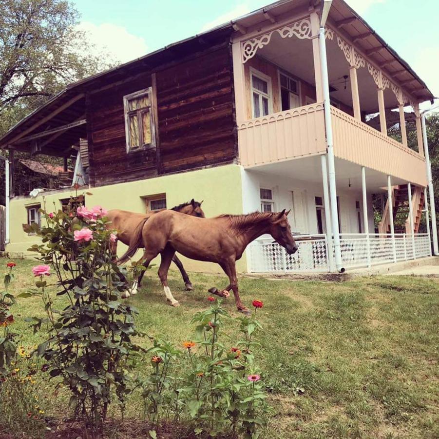Guest House Lailashi Surmushi Екстер'єр фото