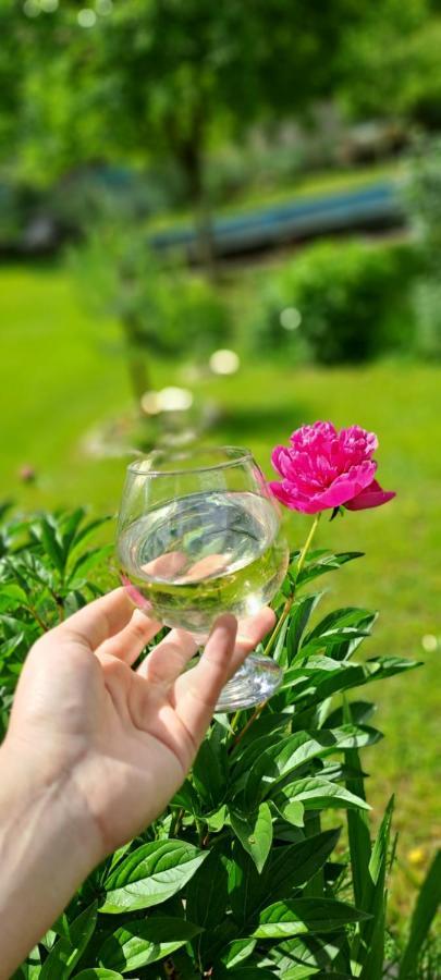 Guest House Lailashi Surmushi Екстер'єр фото