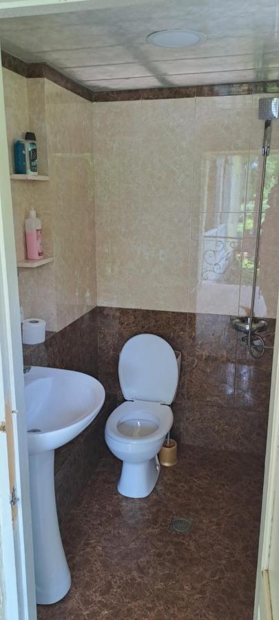 Guest House Lailashi Surmushi Екстер'єр фото